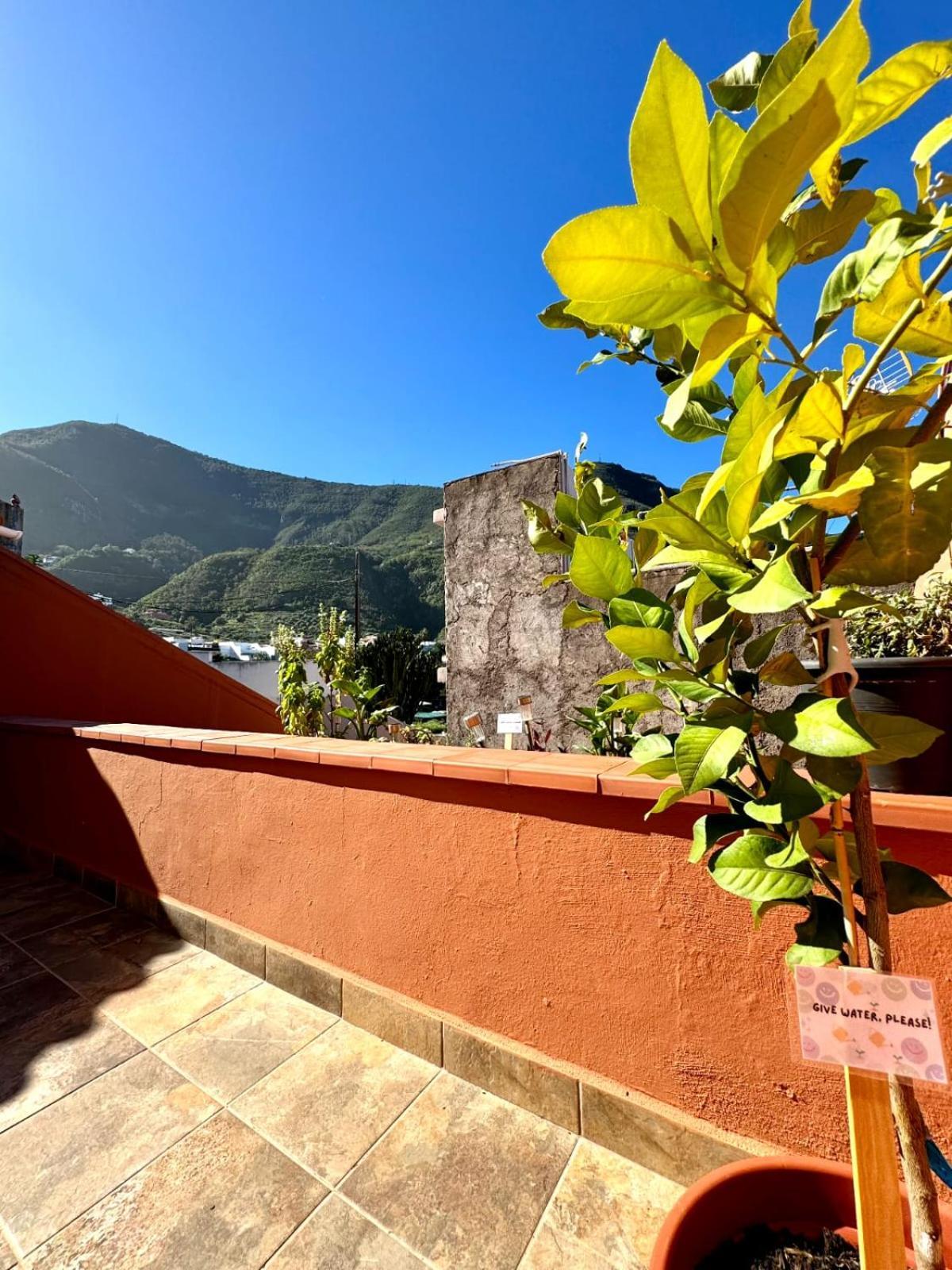 Precioso Apartamento Con Terraza En Piso Superior Λος Ρεαλέχος Εξωτερικό φωτογραφία